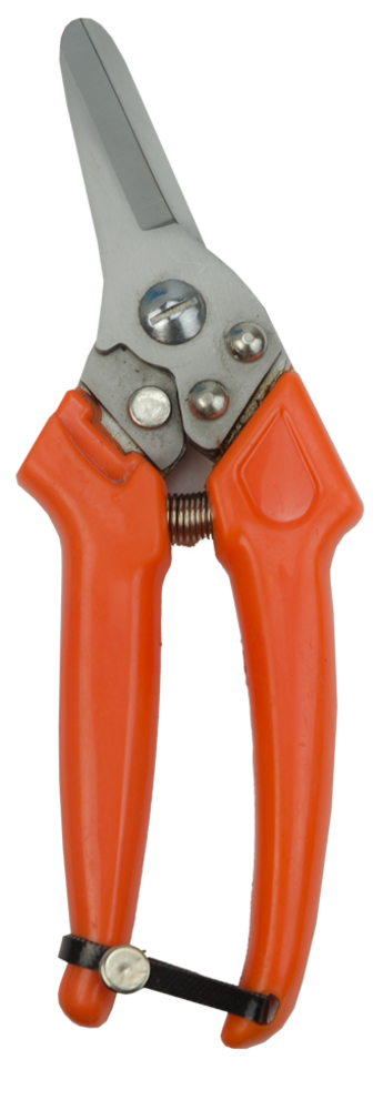 Excellent Klauwschaar Schaap Dutch