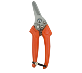 Excellent Klauwschaar Schaap Dutch