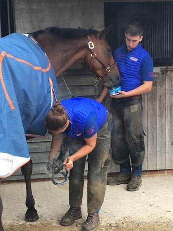 Horslyx Horslyx Mini Liksteen Paard Horslyx Horslyx Mini Liksteen Paard