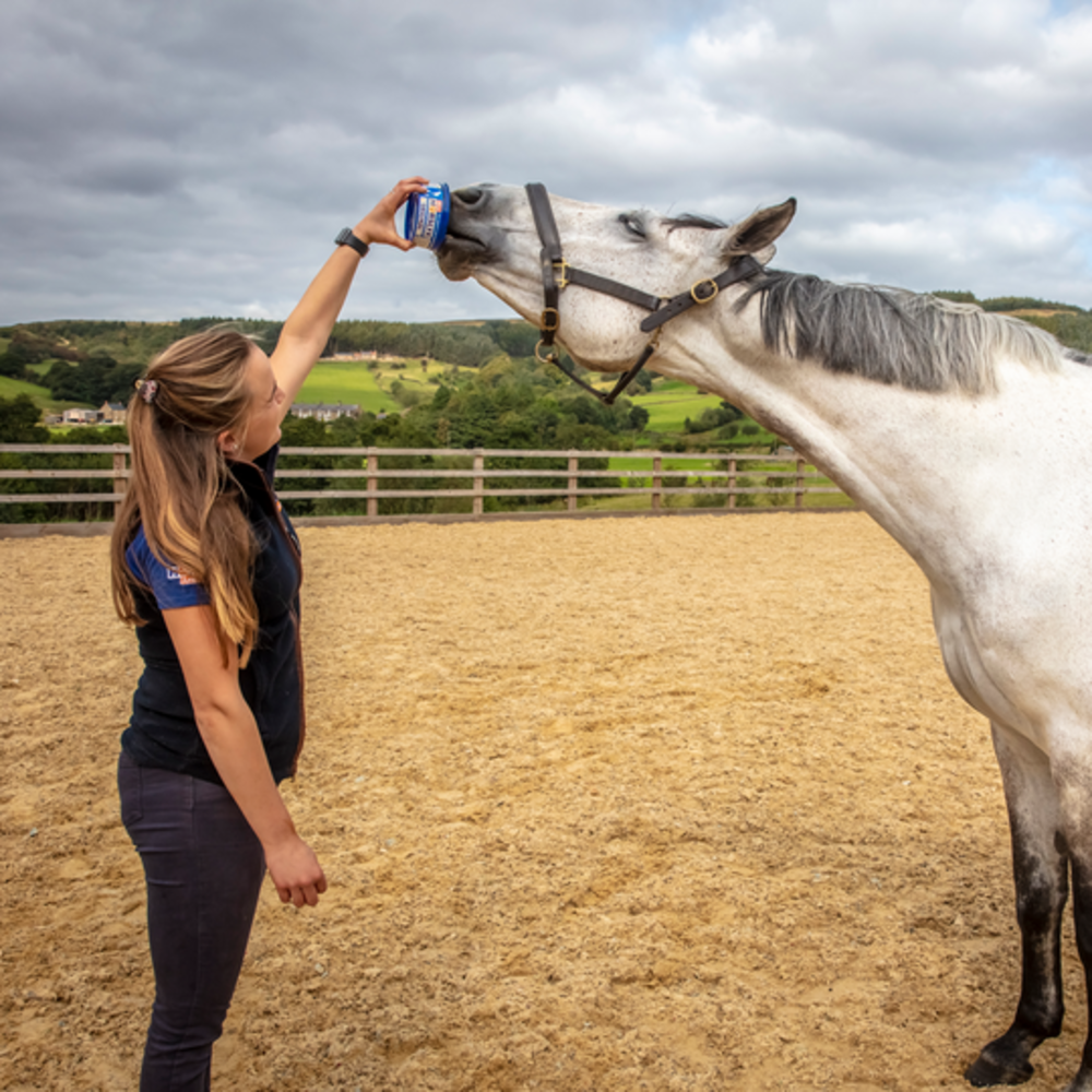 Horslyx Horslyx Mini Liksteen Paard Horslyx Horslyx Mini Liksteen Paard