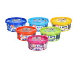 Horslyx Horslyx Mini Liksteen Paard Horslyx Horslyx Mini Liksteen Paard