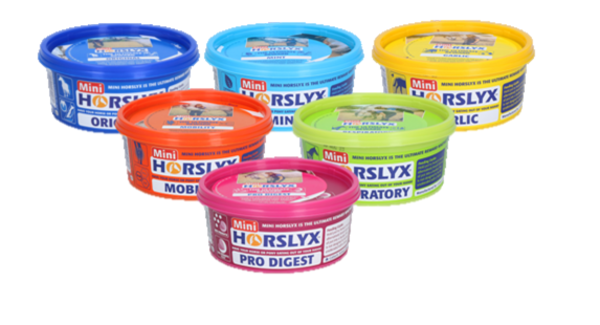 Horslyx Horslyx Mini Liksteen Paard Horslyx Horslyx Mini Liksteen Paard