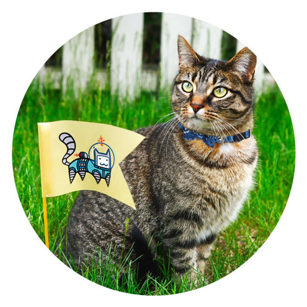 Pawise Kattenhalsband met Strik Pawise Kattenhalsband met Strik