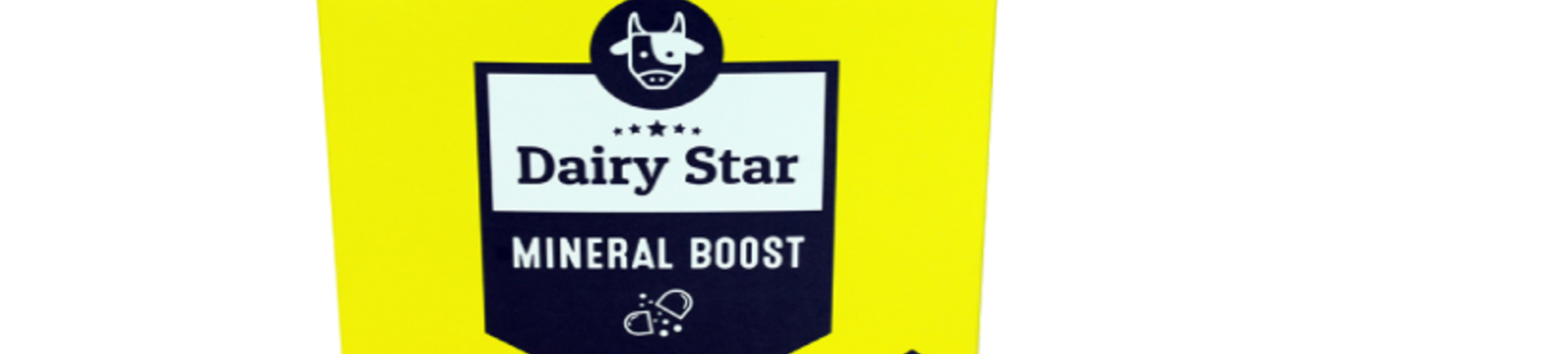 Dairy Star Bolussen met gratis Pect Orange Oplospoeder!