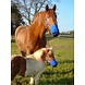 Ultimate Muzzle Anti Graasmasker Ultimate Muzzle Anti Graasmasker