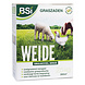 BSI Weide Gazon BSI Weide Gazon