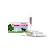 Agrapharm Mammicurine 880 mastitis Injectoren 4 stuks