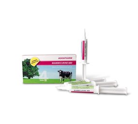 Agrapharm Mammicurine 880 mastitis Injectoren 4 stuks Agrapharm Mammicurine 880 mastitis Injectoren 4 stuks