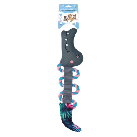 Coolpets Trekspeeltje met Flostouw Coolpets Trekspeeltje met Flostouw