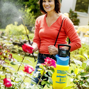 Drukspuiten Drukspuiten