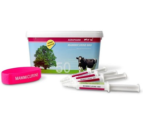 Agrapharm Mammicurine 880 Mastitis Injector 50 stuks Agrapharm Mammicurine 880 Mastitis Injector 50 stuks