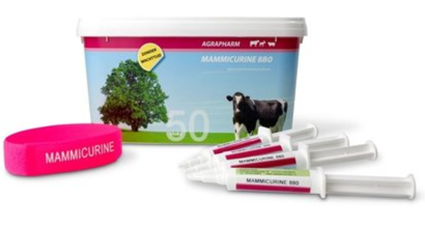 Agrapharm Mammicurine 880 Mastitis Injector 50 stuks Agrapharm Mammicurine 880 Mastitis Injector 50 stuks