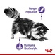 Royal Canin Appetite Control Care Royal Canin Appetite Control Care