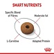 Royal Canin Appetite Control Care Royal Canin Appetite Control Care