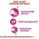 Royal Canin Aroma Exigent Royal Canin Aroma Exigent