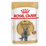Royal Canin British Shorthair Adult in saus