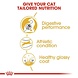 Royal Canin Bengal Adult Royal Canin Bengal Adult