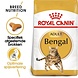 Royal Canin Bengal Adult Royal Canin Bengal Adult