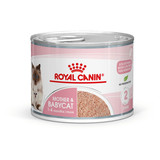 Royal Canin Mother & Babycat Mousse