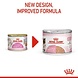 Royal Canin Mother & Babycat Mousse Royal Canin Mother & Babycat Mousse
