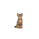 Royal Canin Kitten Sterilised Royal Canin Kitten Sterilised