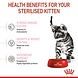 Royal Canin Kitten Sterilised Royal Canin Kitten Sterilised