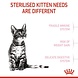 Royal Canin Kitten Sterilised Royal Canin Kitten Sterilised