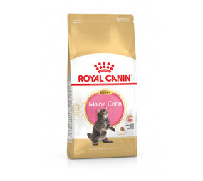 Royal Canin Maine Coon Kitten Royal Canin Maine Coon Kitten