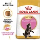 Royal Canin Maine Coon Kitten Royal Canin Maine Coon Kitten