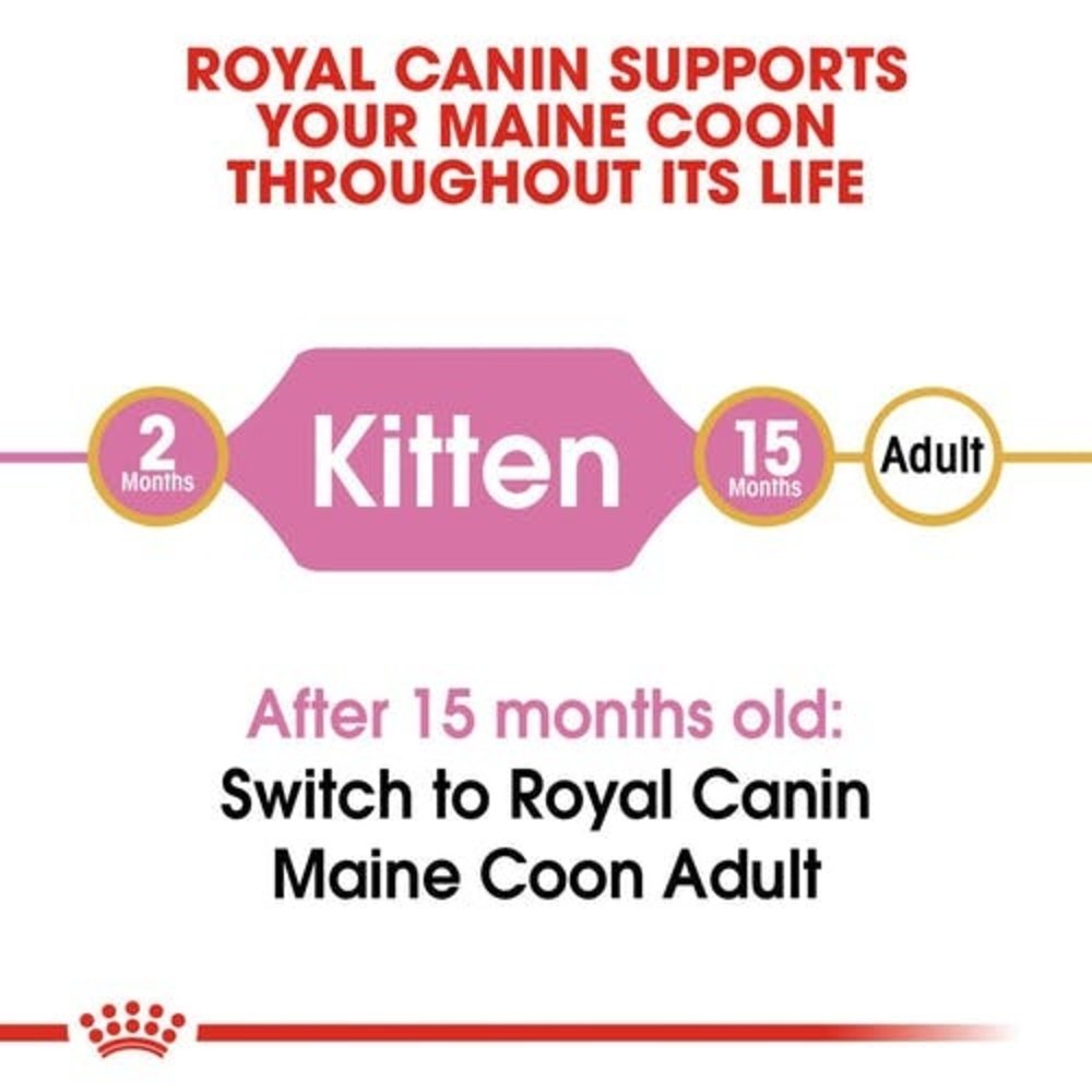 Royal Canin Maine Coon Kitten Royal Canin Maine Coon Kitten