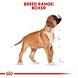 Royal Canin Boxer puppy Royal Canin Boxer puppy