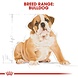 Royal Canin Bulldog Puppy Royal Canin Bulldog Puppy