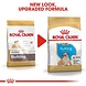 Royal Canin Bulldog Puppy Royal Canin Bulldog Puppy