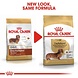 Royal Canin Dachshund Adult Royal Canin Dachshund Adult