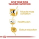 Royal Canin French bulldog adult Royal Canin French bulldog adult