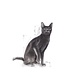 Royal Canin Sterilised 37 Royal Canin Sterilised 37