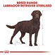 Royal Canin Labrador Retriever sterilised Adult Royal Canin Labrador Retriever sterilised Adult