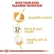 Royal Canin Labrador Retriever sterilised Adult Royal Canin Labrador Retriever sterilised Adult
