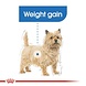 Royal Canin Light Weight Care mini Royal Canin Light Weight Care mini