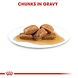 Royal Canin Maxi Adult Wet 10 x 140 gram Royal Canin Maxi Adult Wet 10 x 140 gram