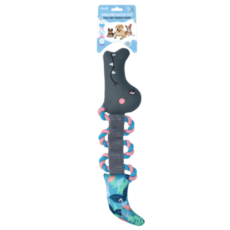 Coolpets Trekspeeltje met Flostouw Coolpets Trekspeeltje met Flostouw