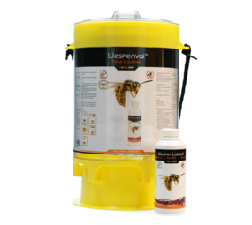 Knock Off Wespenval XL Knock Off Wespenval XL