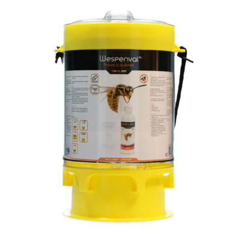 Knock Off Wespenval XL Knock Off Wespenval XL