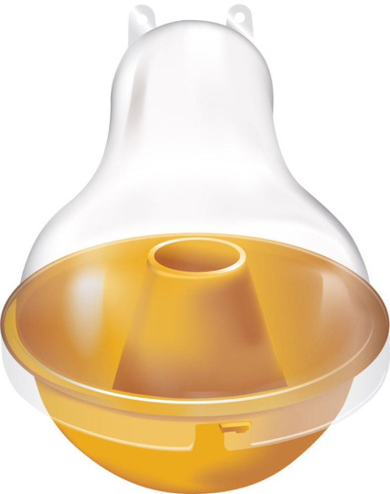 Knock Off Wespenval Kom Knock Off Wespenval Kom