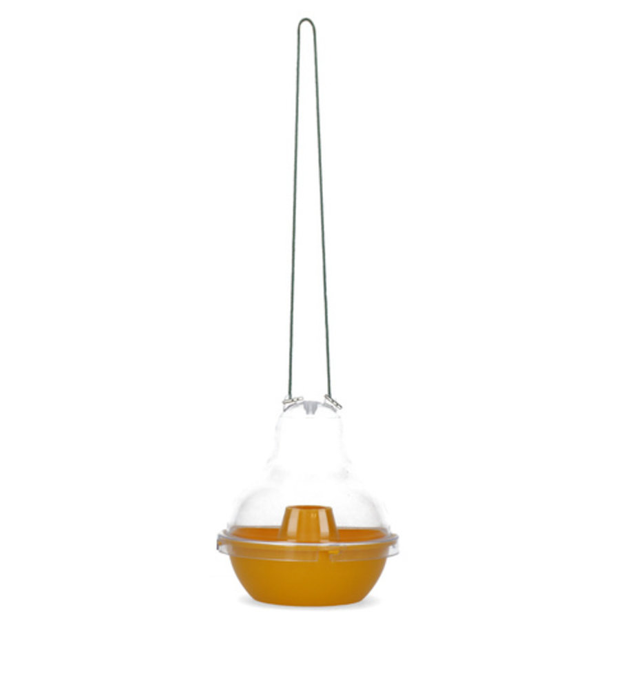 Knock Off Wespenval Kom Knock Off Wespenval Kom