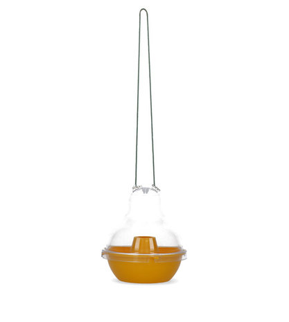 Knock Off Wespenval Kom Knock Off Wespenval Kom