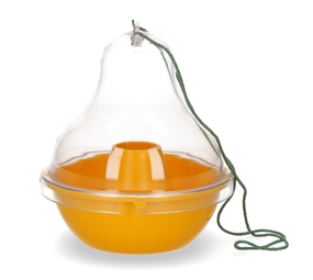 Knock Off Wespenval Kom Knock Off Wespenval Kom