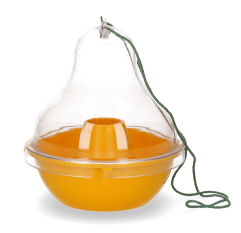 Knock Off Wespenval Kom Knock Off Wespenval Kom