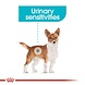 Royal Canin Urinary care mini Royal Canin Urinary care mini