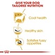 Royal Canin West Highland White Terrier Adult Royal Canin West Highland White Terrier Adult